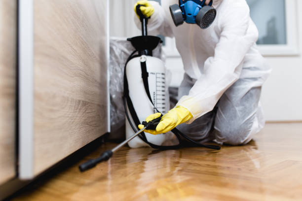Best Cockroach Control Services  in Millville, NJ