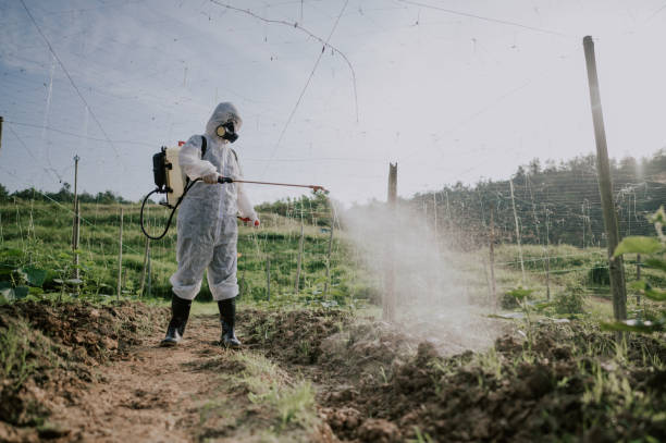 Best Best Pest Control Companies  in Millville, NJ