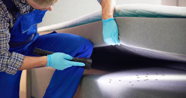 Best Rat Extermination Near Me  in Millville, NJ