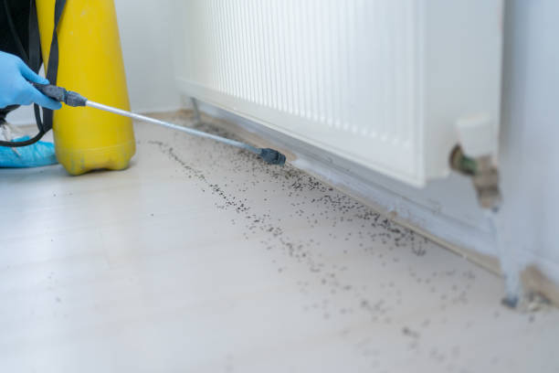 Best Pest Prevention Services  in Millville, NJ