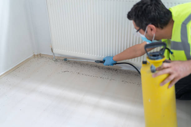 Best Mosquito Control Services  in Millville, NJ