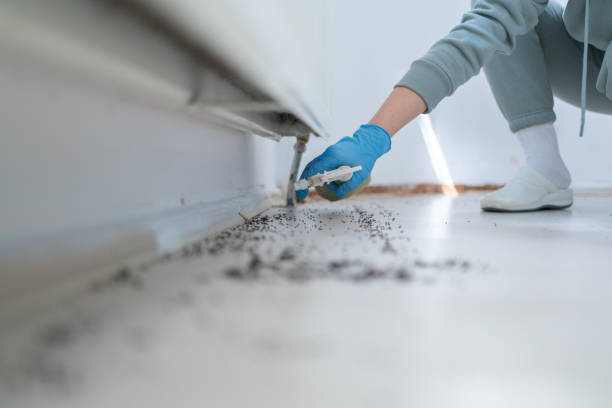 Best Affordable Pest Control Services  in Millville, NJ